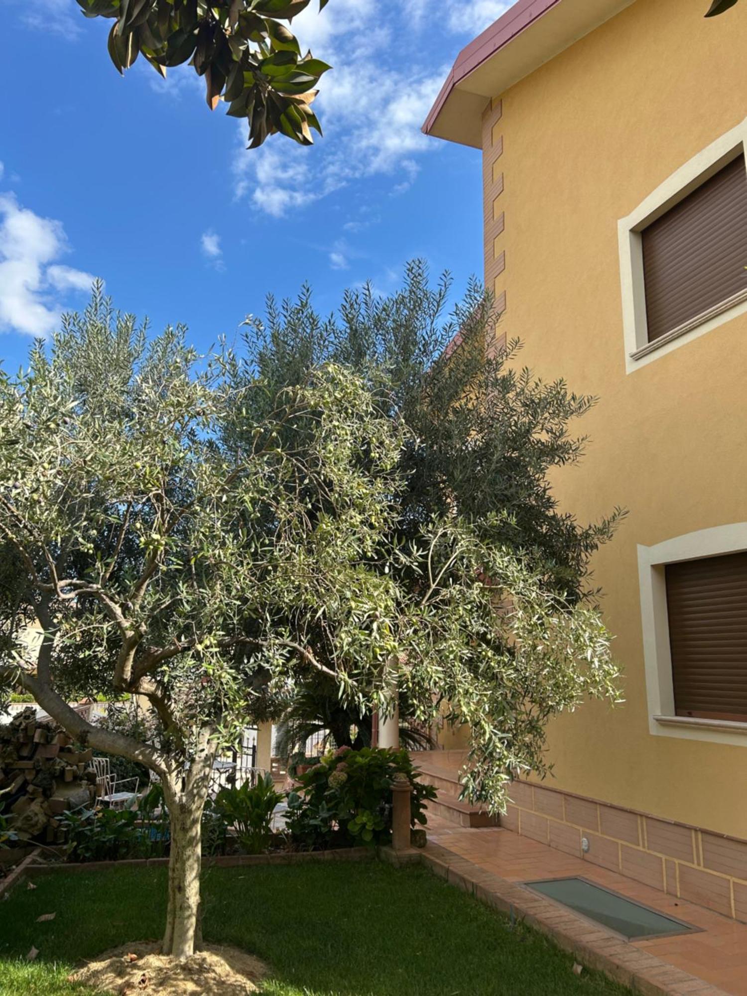 كاتانزارو B&B Villa Maria المظهر الخارجي الصورة